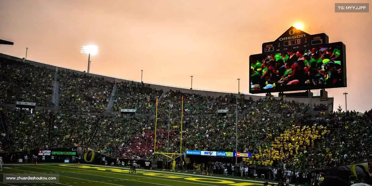 🌐 跨越国界的热爱,我们让游戏成为全球玩家的共同语言!